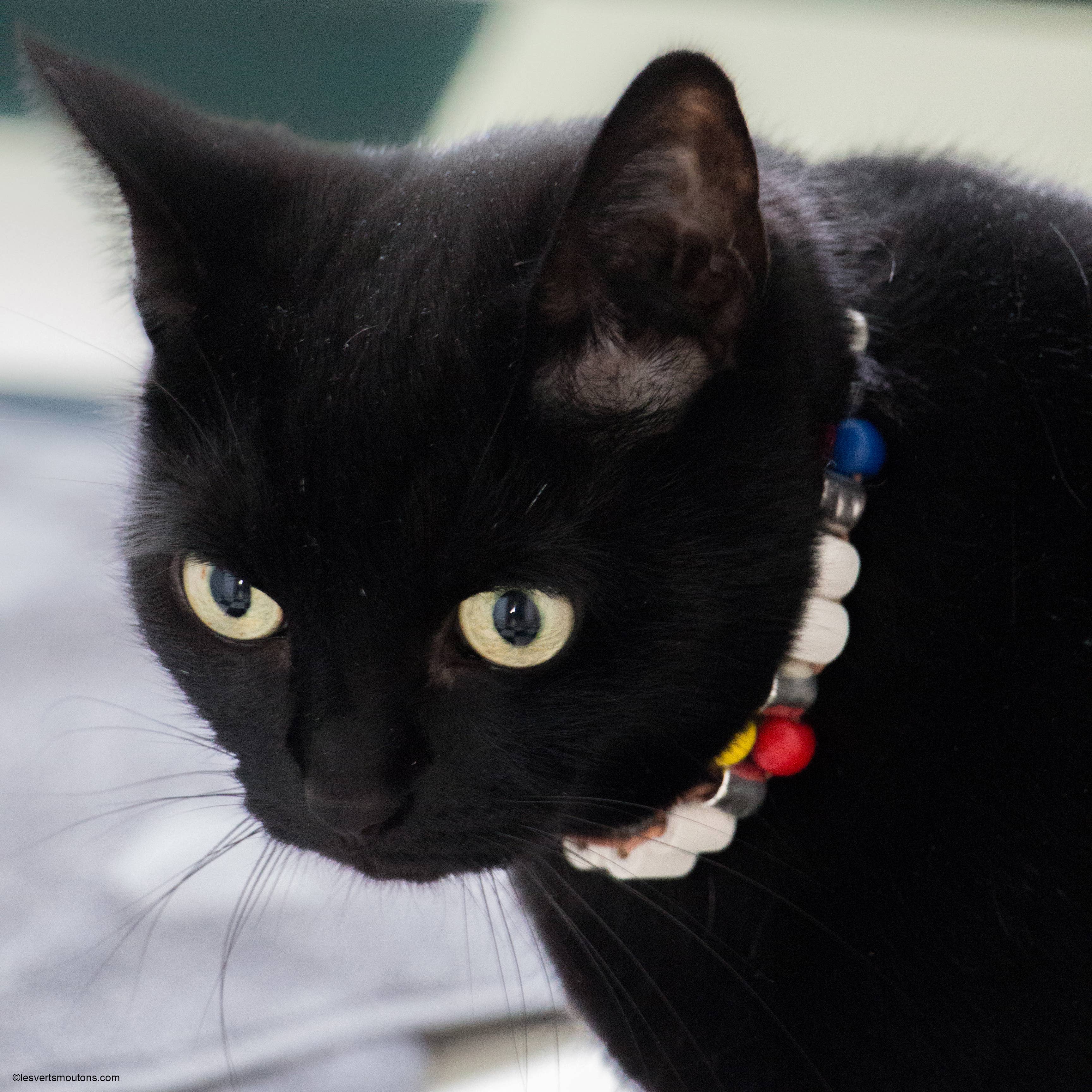 Halskette mit eingebauten Keramikperlen