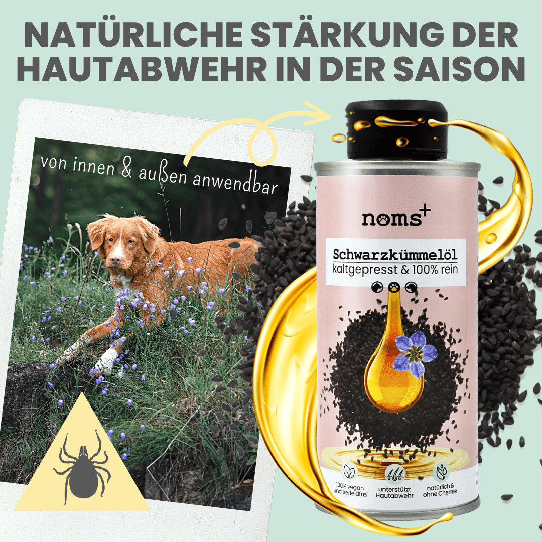 Premium Schwarzkümmelöl für Hunde