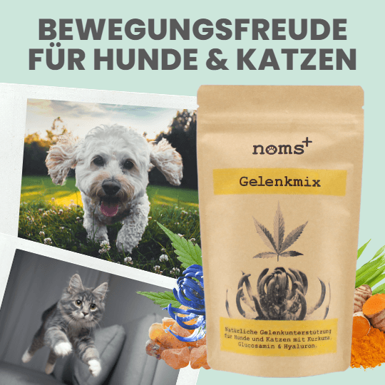 Gelenkmix für Hunde