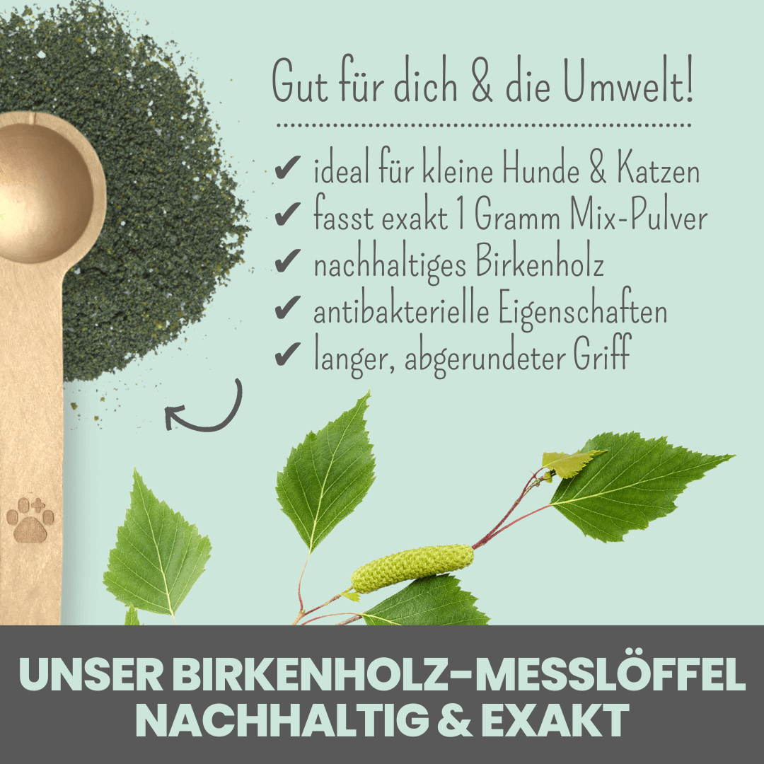 Messlöffel aus Birkenholz fasst genau 1g