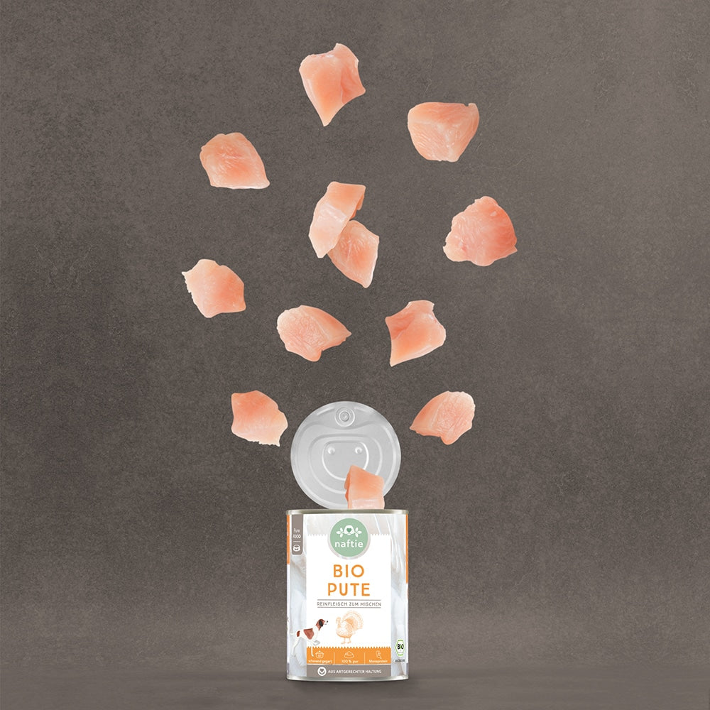 100% Bio Pute Nassfutter (400g)