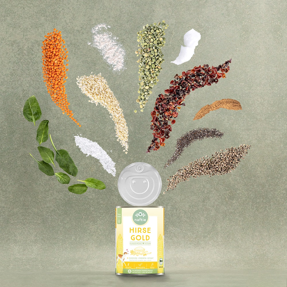 Hirse Gold BIO Nassfutter (400g)