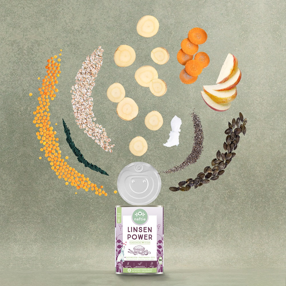 Linsen Power Nassfutter (400g)